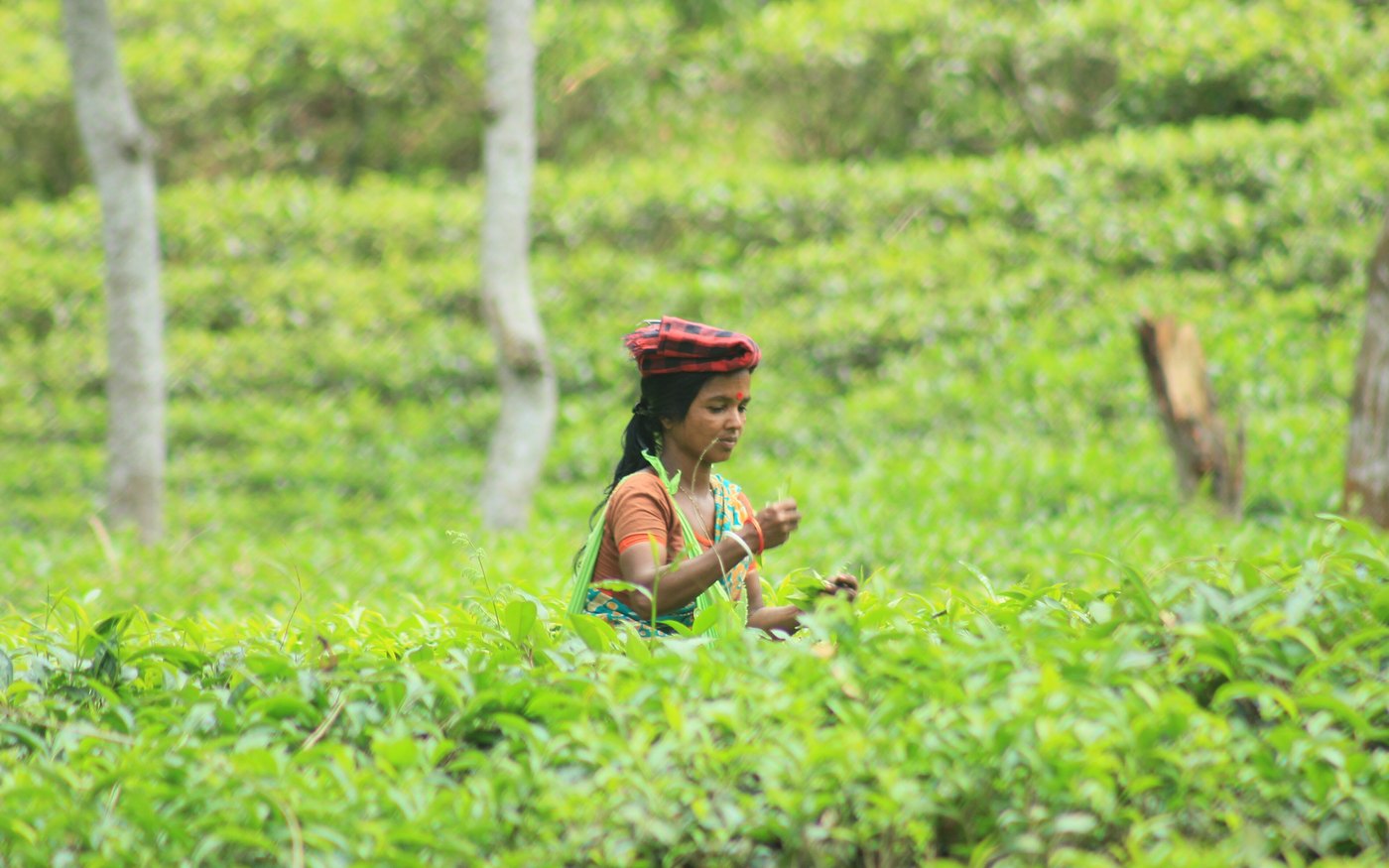 Sylhet
